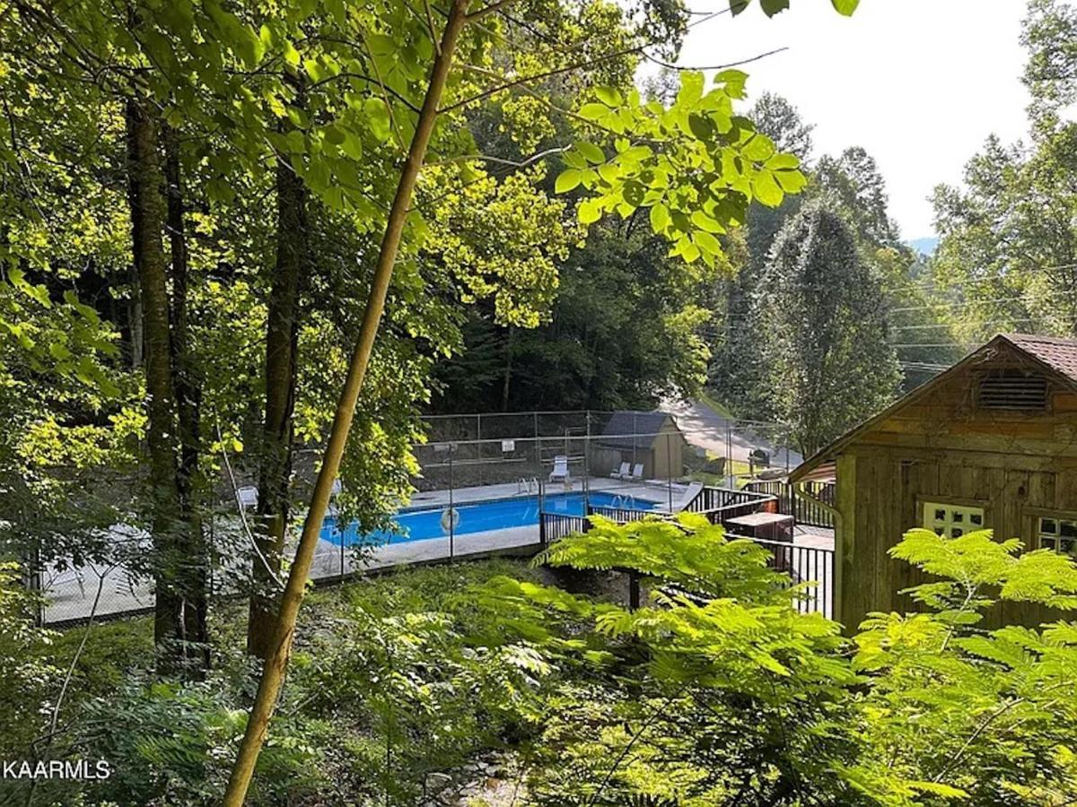 Hawks View Gatlinburg Mountain Cabin Extérieur photo